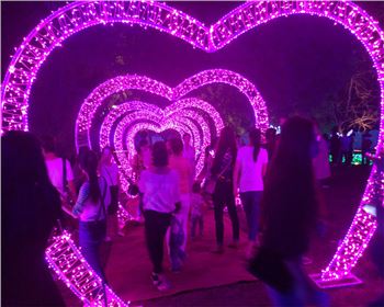 燈光節-節日亮化